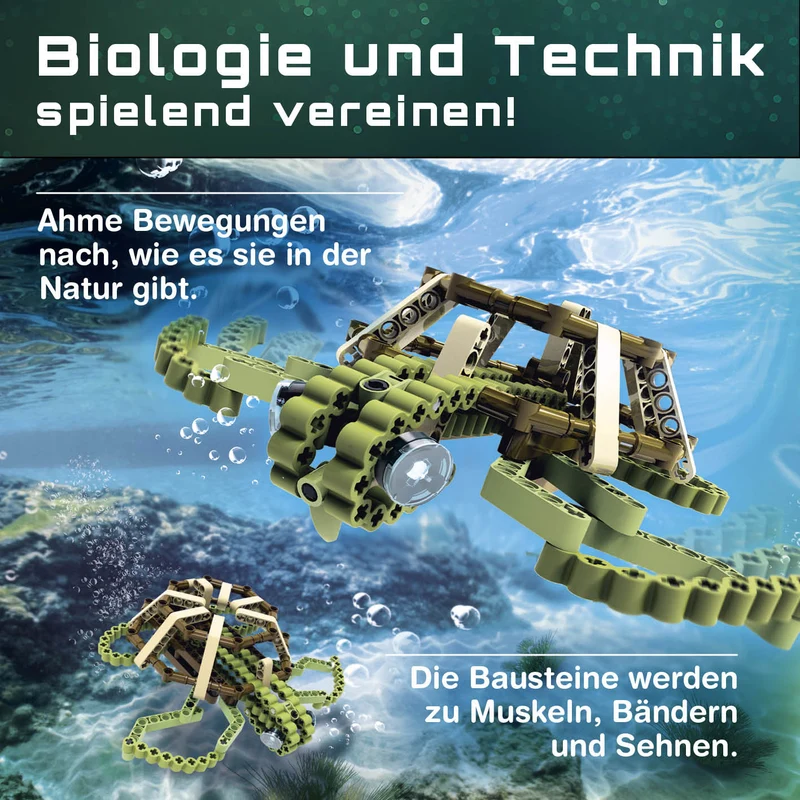 CBionic Baustein-Set Schildkröte grün/braun