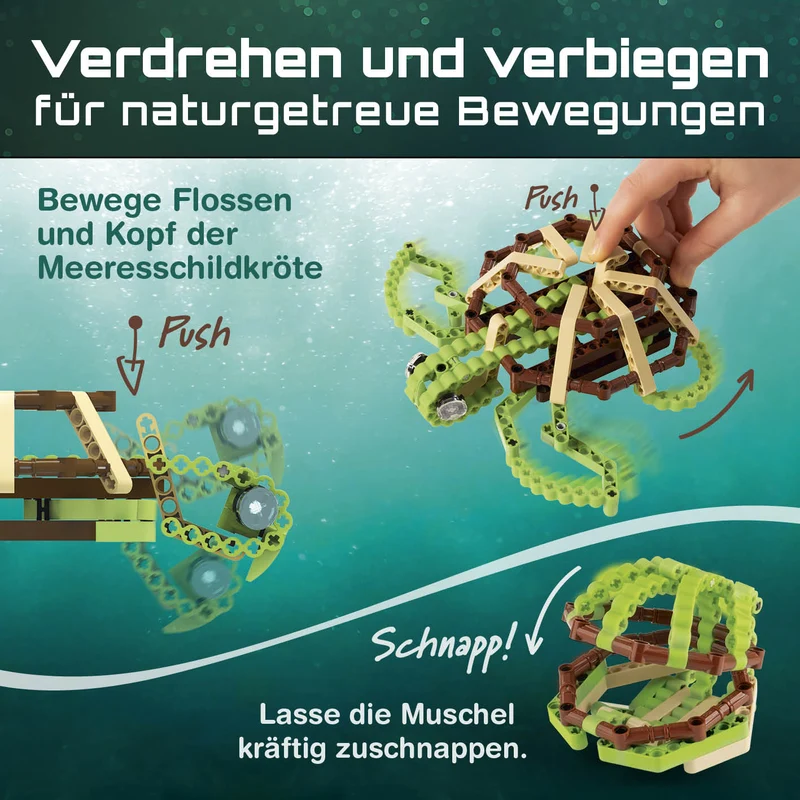 CBionic Baustein-Set Schildkröte grün/braun