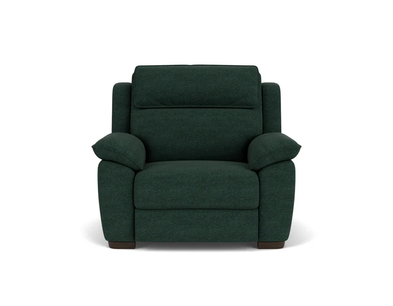 Electric Recliner