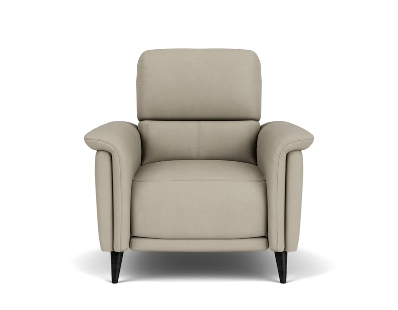Electric Recliner