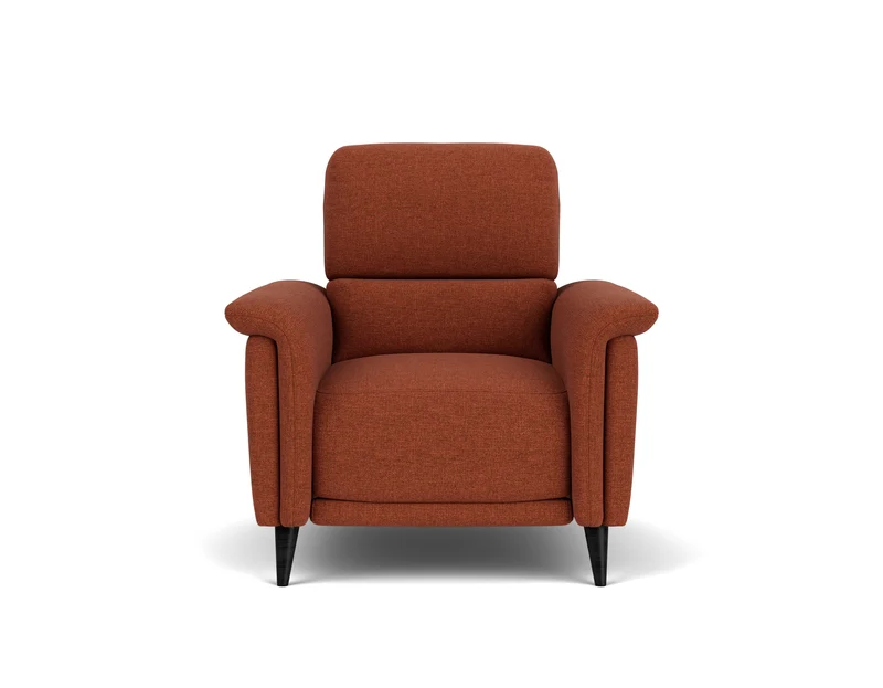 Electric Recliner