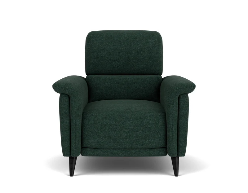Electric Recliner