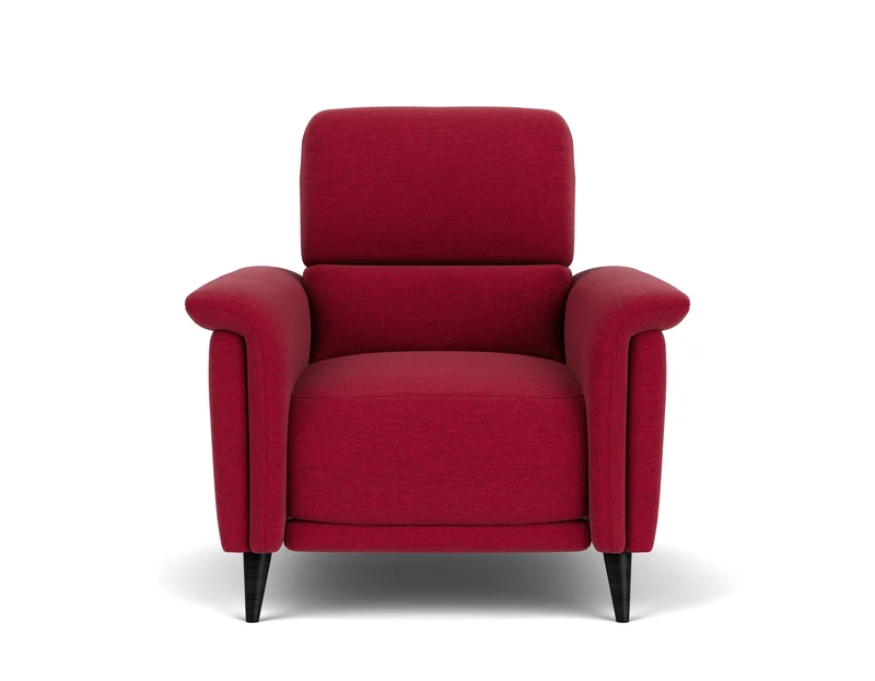 Electric Recliner