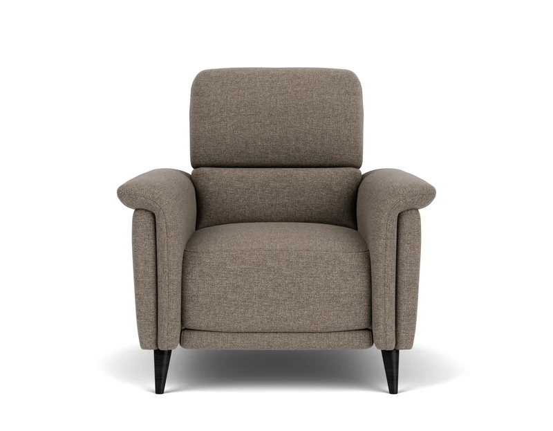 Electric Recliner