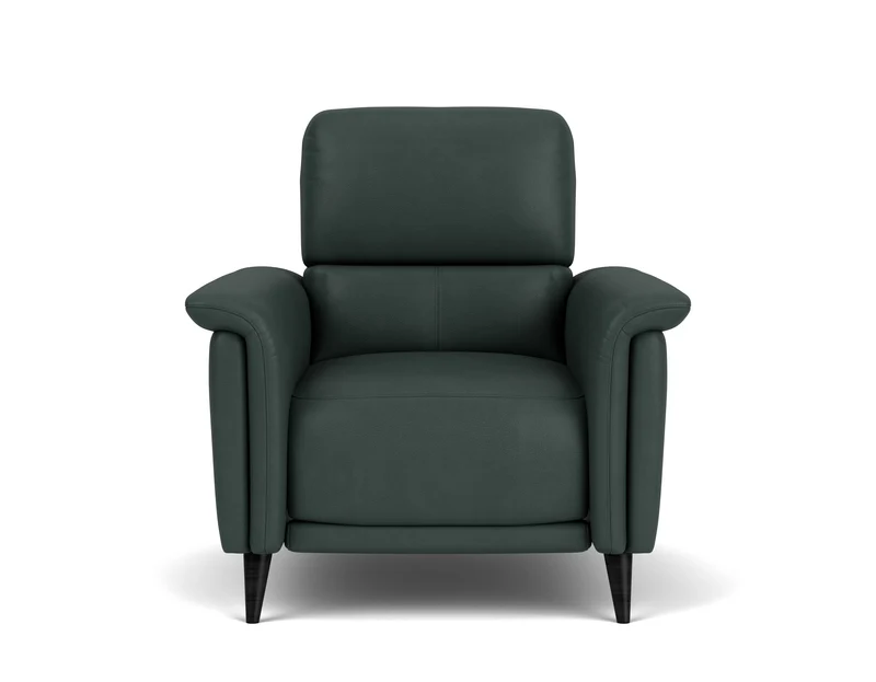 Electric Recliner