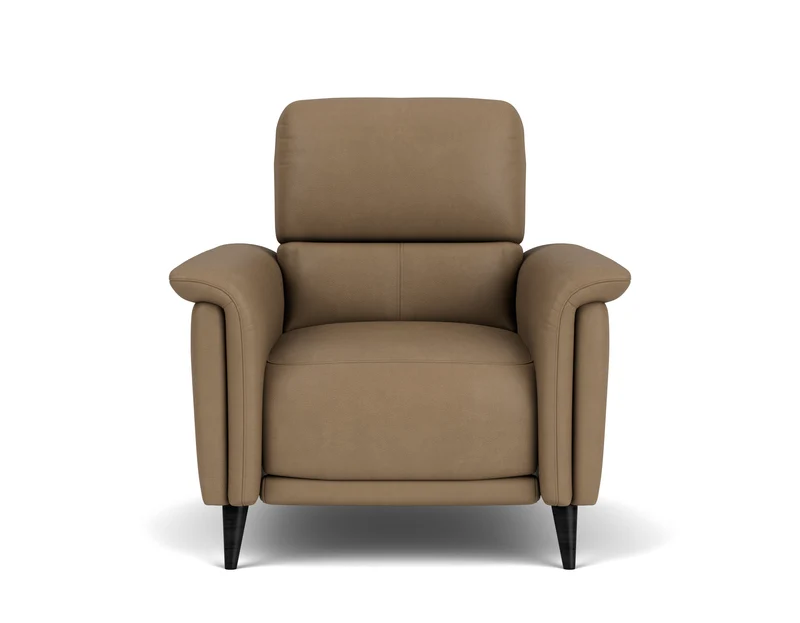 Electric Recliner