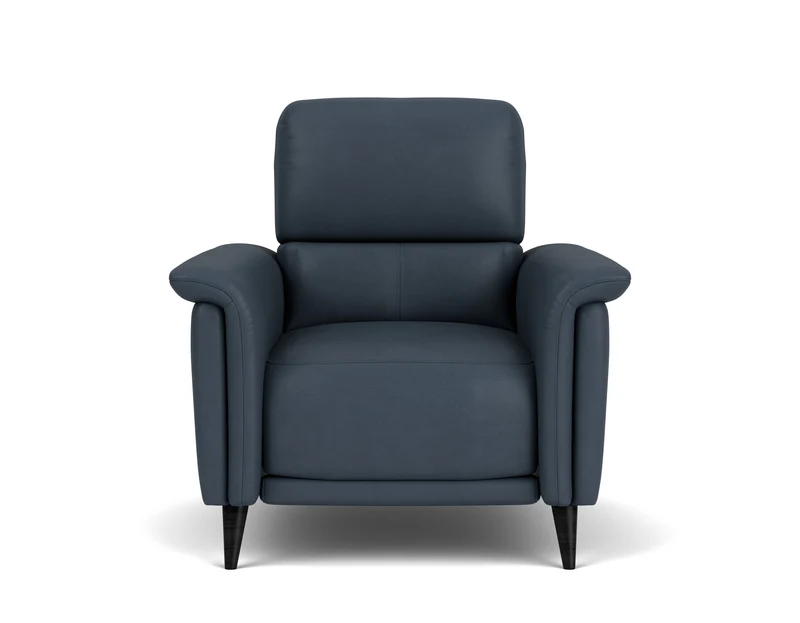 Electric Recliner