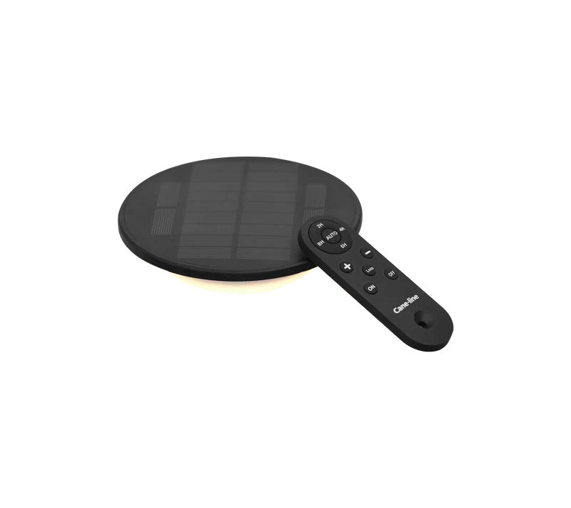Solar LED light insert