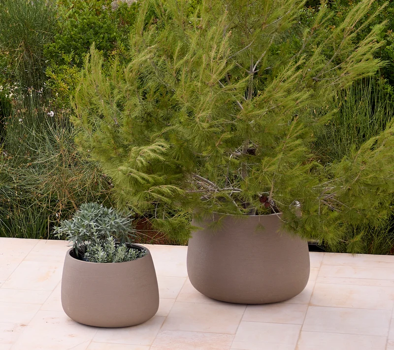 Soil planter round, large
