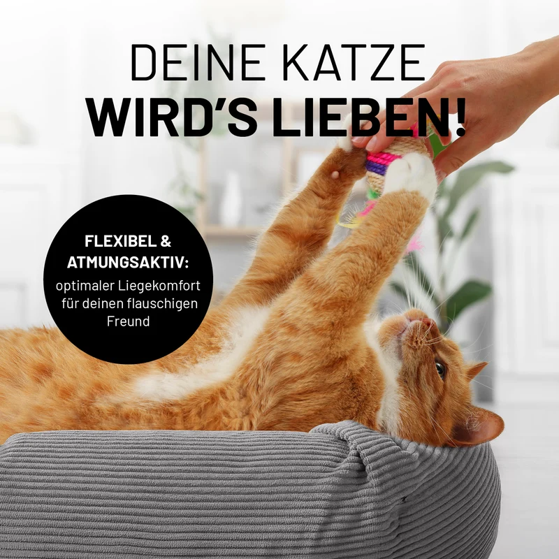 Komfort-Katzenbett Cord - One Size