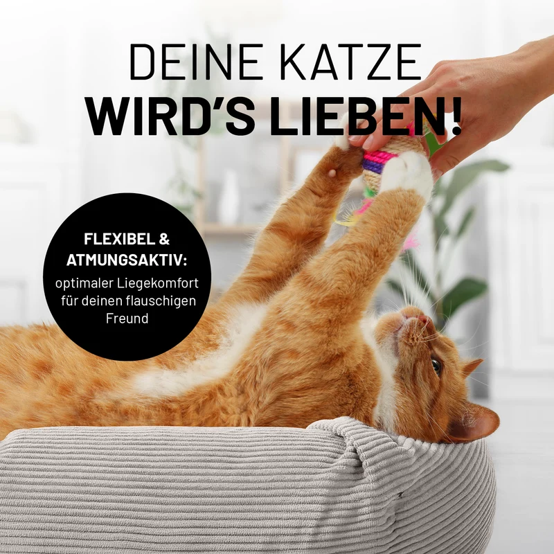 Komfort-Katzenbett Cord - One Size