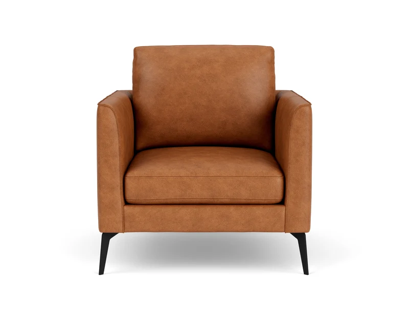 Arm Chair