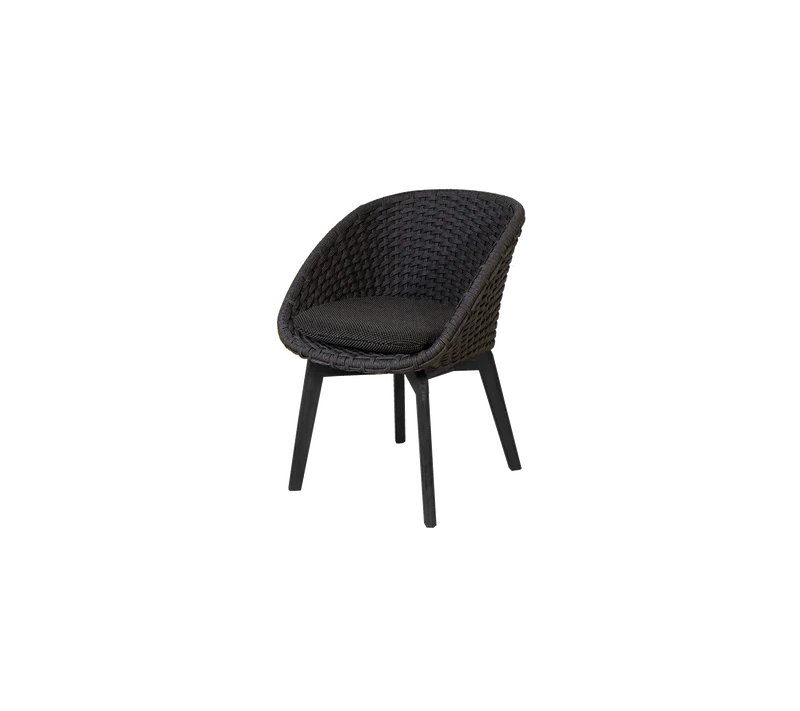Peacock chair