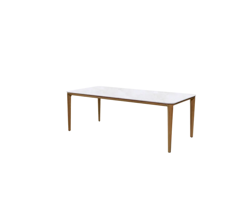 Aspect dining table, 210x100 cm