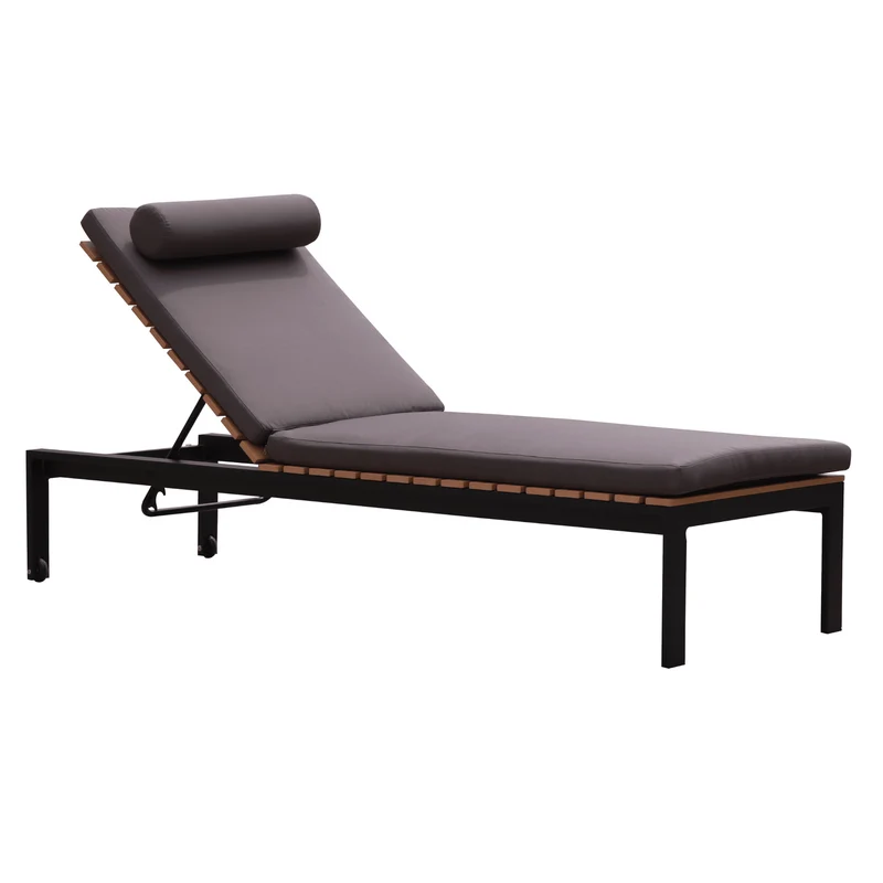 Luxe Tuin Ligbed met Ligkussen en Verstelbaar hoofdkussen