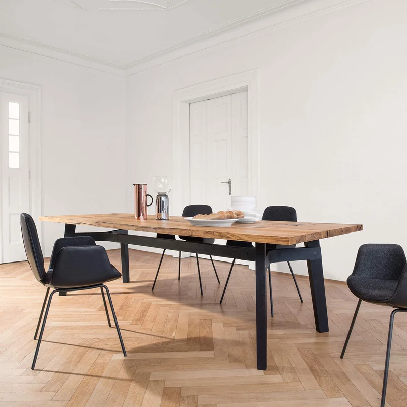 Janua Tisch | BB31