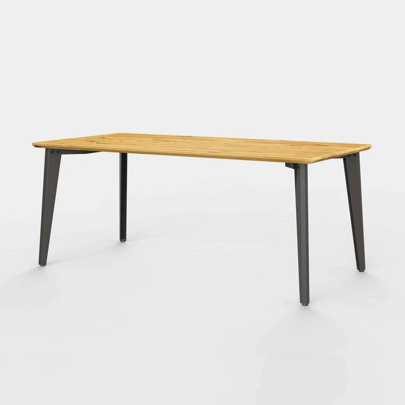 Jan Cray Tisch | Plog