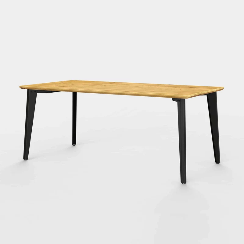 Jan Cray Tisch | Plog