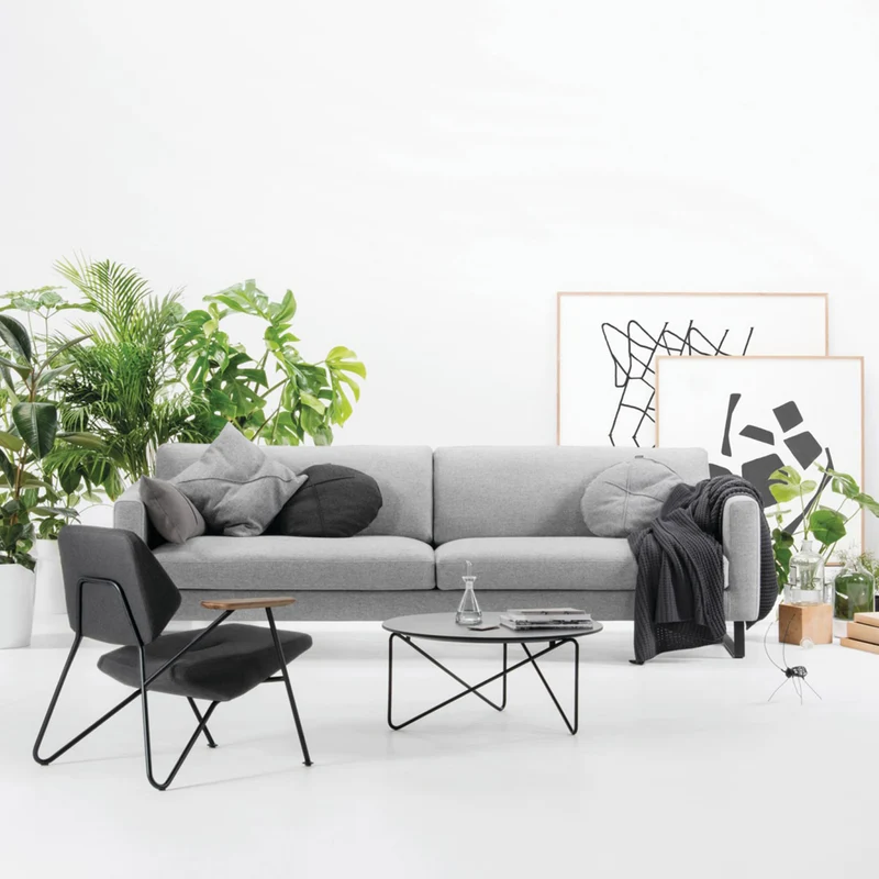 Elegance Sofa