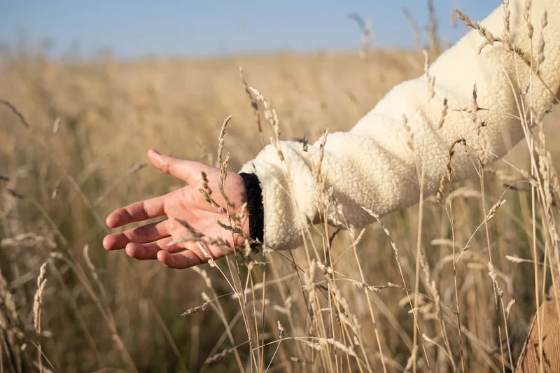 Knut | Pullover