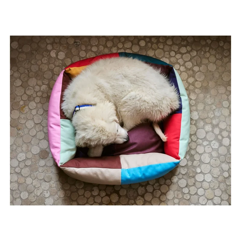 Hay - Köpek yatağı