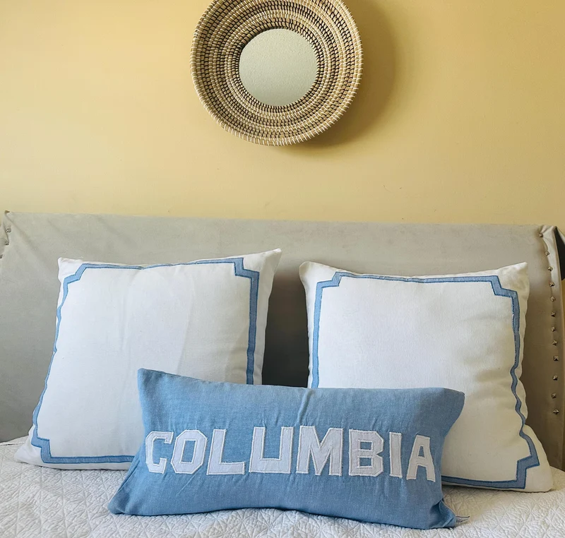 College Throw Pillows for Beds, Graduation Gifts for Her Dorm Room Accent Pillows Cute Pillows for Students