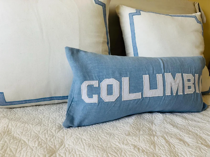 College Throw Pillows for Beds, Graduation Gifts for Her Dorm Room Accent Pillows Cute Pillows for Students
