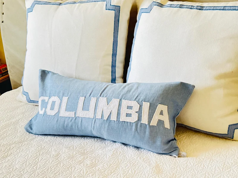 College Throw Pillows for Beds, Graduation Gifts for Her Dorm Room Accent Pillows Cute Pillows for Students