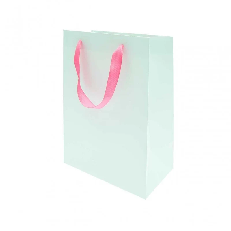 MEDIUM GIFT BAG - MINT