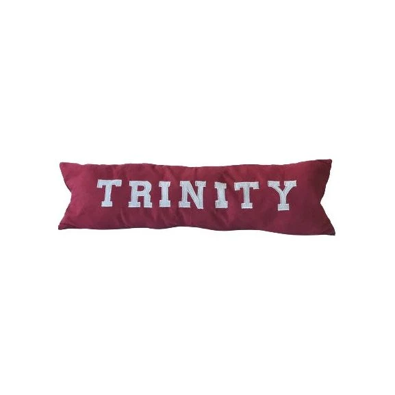 Applique College Pillows, Dorm Decor