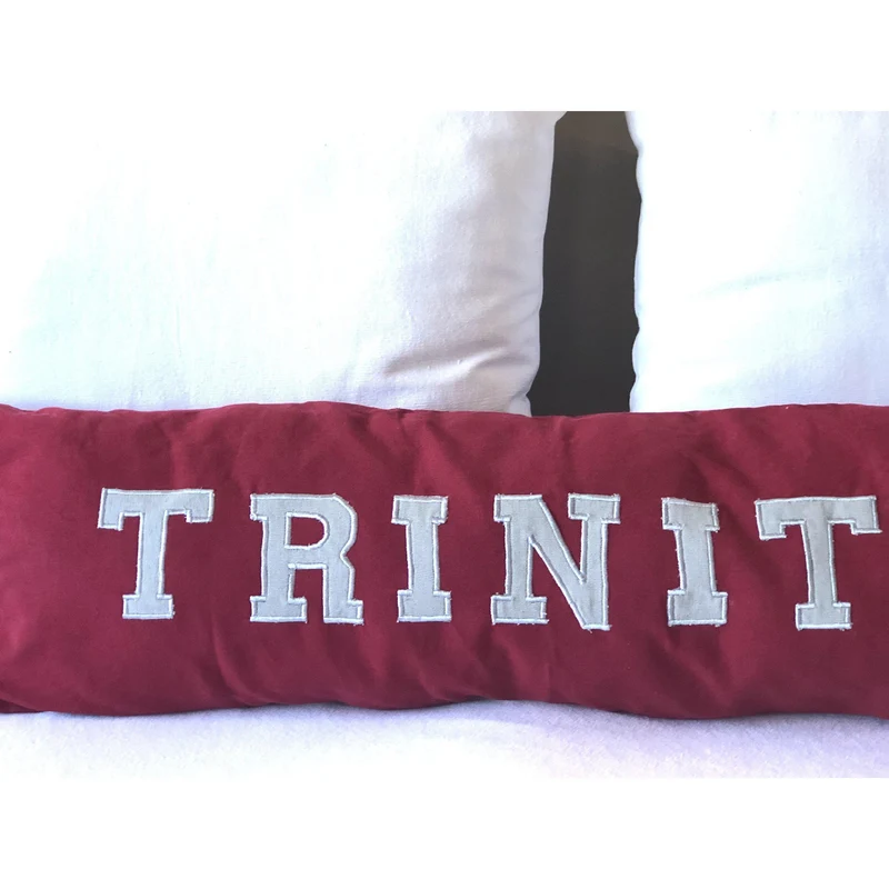 Applique College Pillows, Dorm Decor