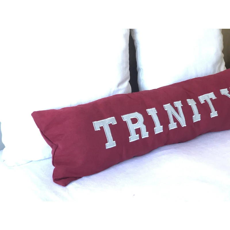 Applique College Pillows, Dorm Decor