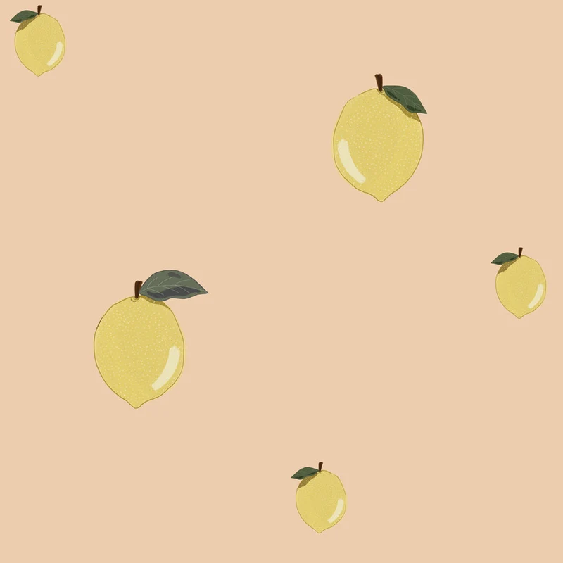 Dekornik Tapete Little Lemons Salmon Streifen 50 x 280
