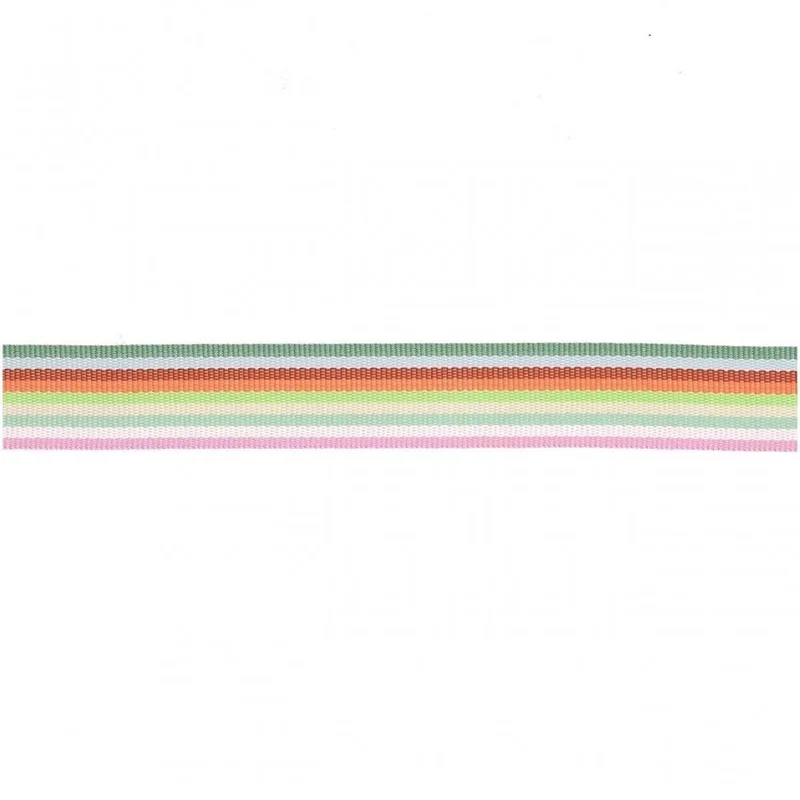 RIBBON - MULTICOLOUR STRIPE