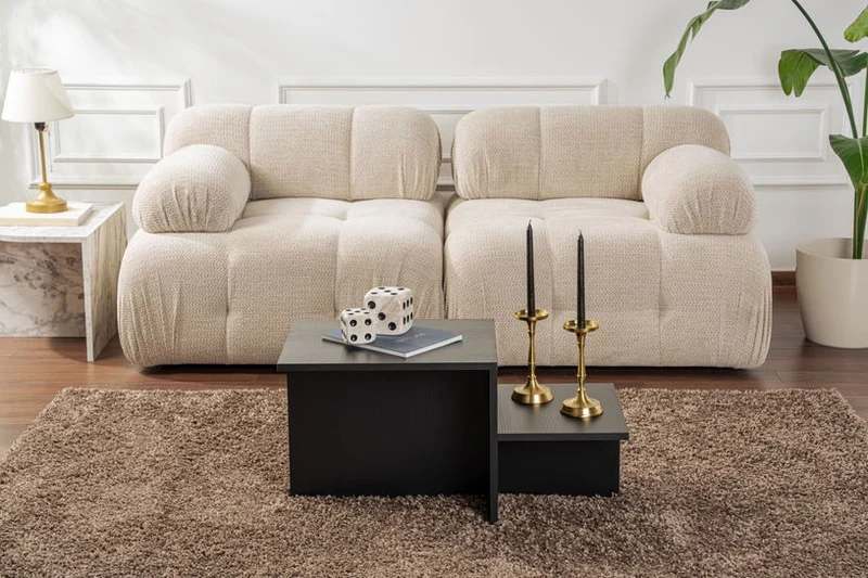 Table basse asymétrique en bois noir 80x40cm Harmony - Home Design