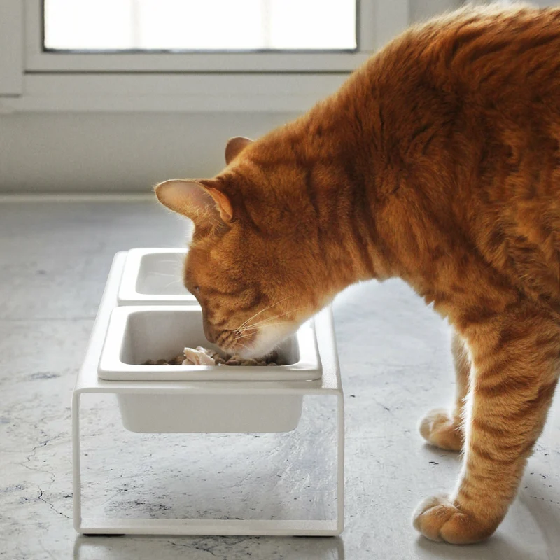 Gamelle pour animal de compagnie blanche - Yamazaki