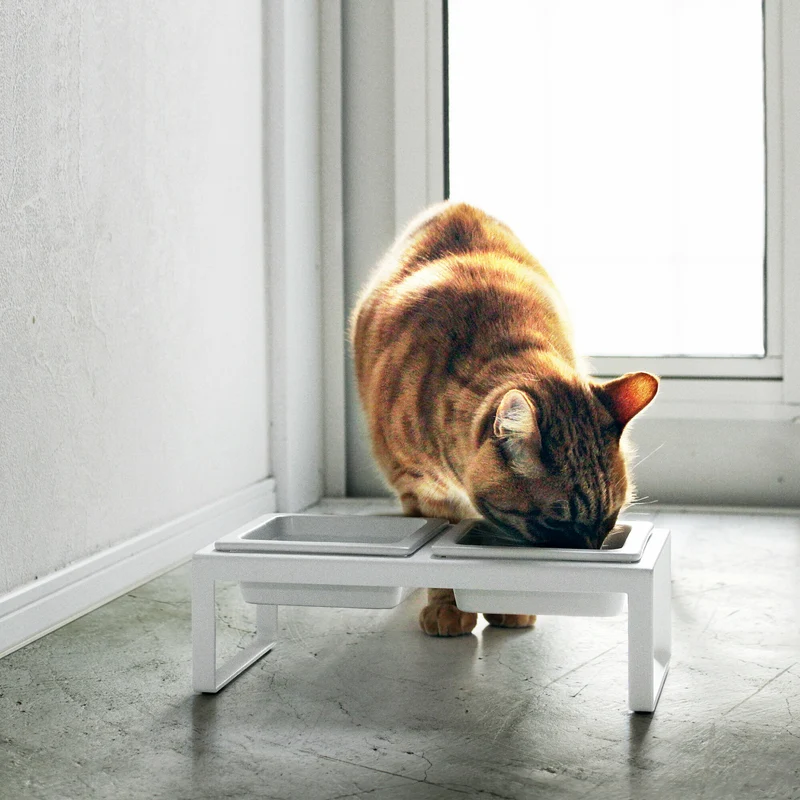 Gamelle pour animal de compagnie blanche - Yamazaki