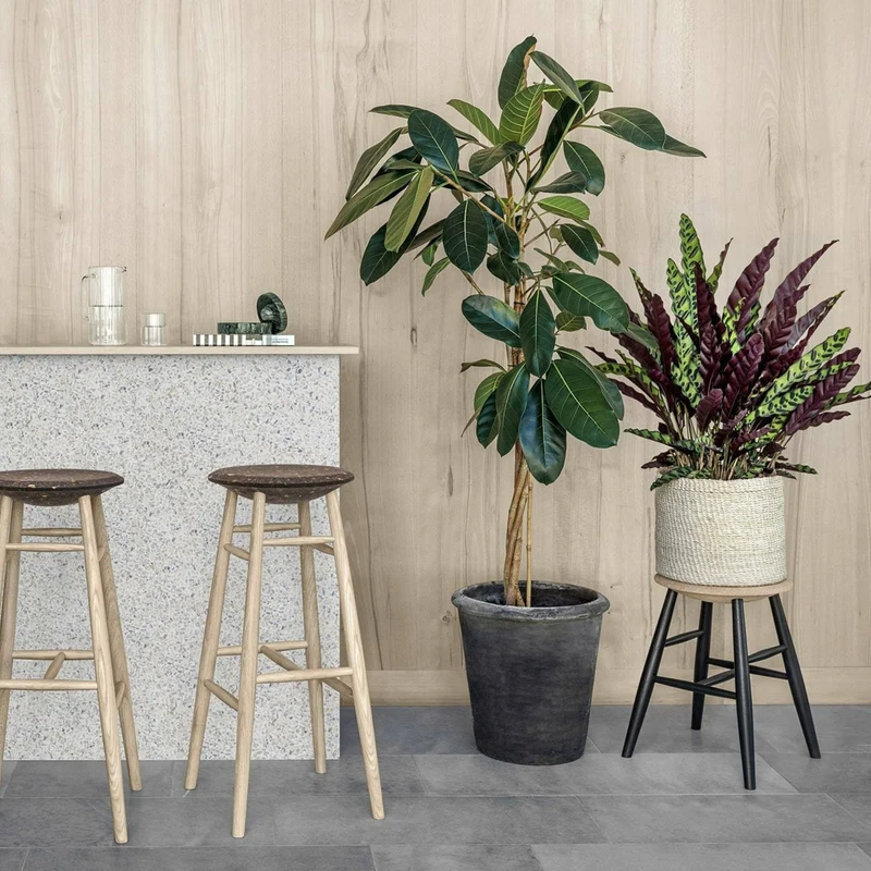 Tabouret en liège clair et bois naturel Drifted - Hem
