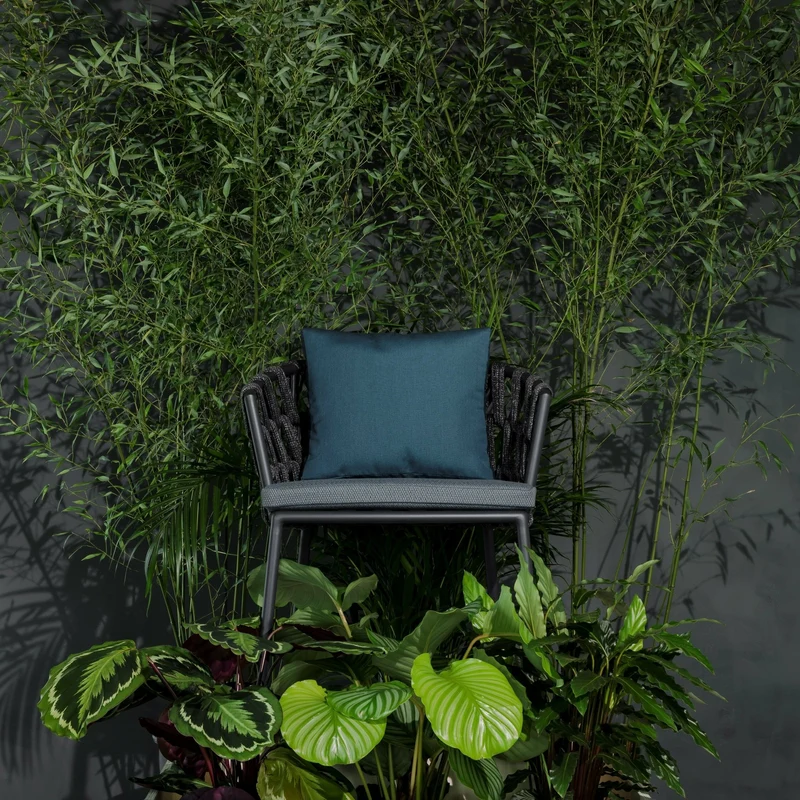 Chaise avec accoudoirs d'extérieur noire avec coussins gris zinc Leo - Vincent Sheppard