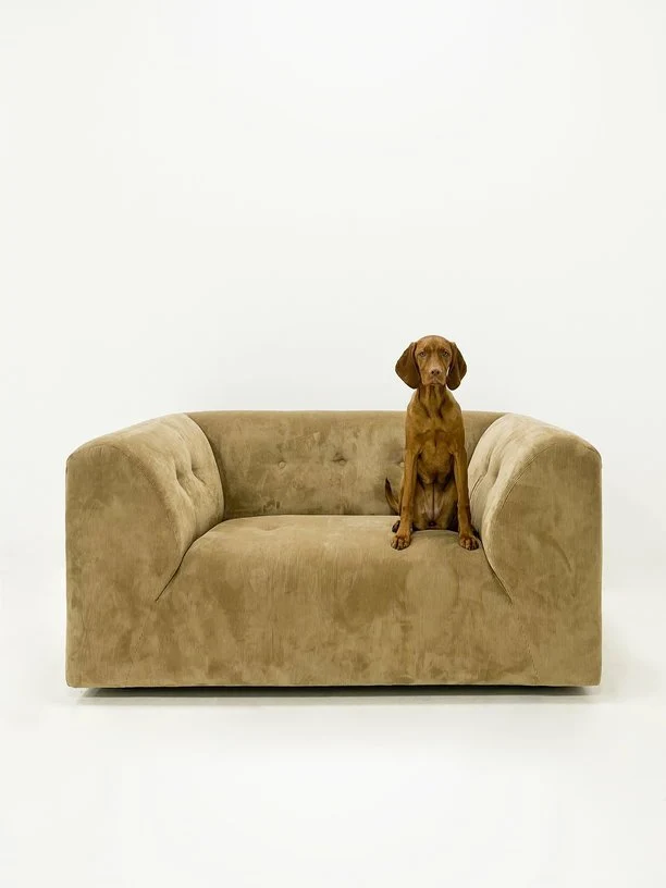Fauteuil en velours côtelé marron Vint - Hkliving