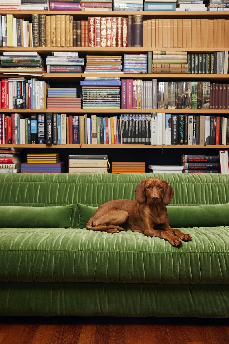Canapé en velours royal velvet vert 274 cm Club Couch - Hkliving