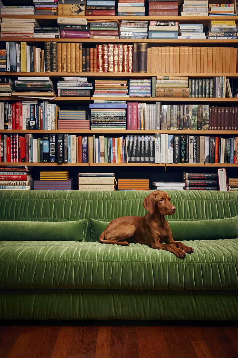 Canapé en velours royal velvet vert 274 cm Club Couch - Hkliving