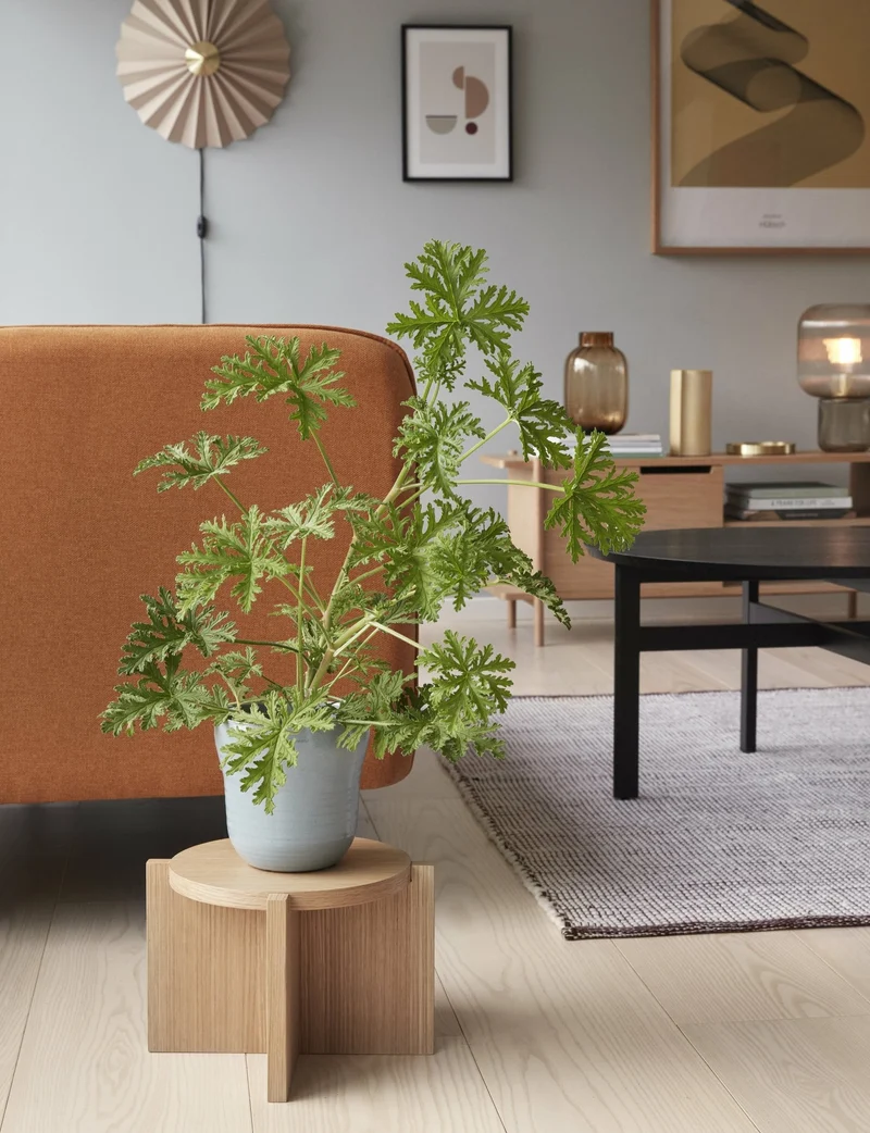 Support de plantes Nomad - Hübsch
