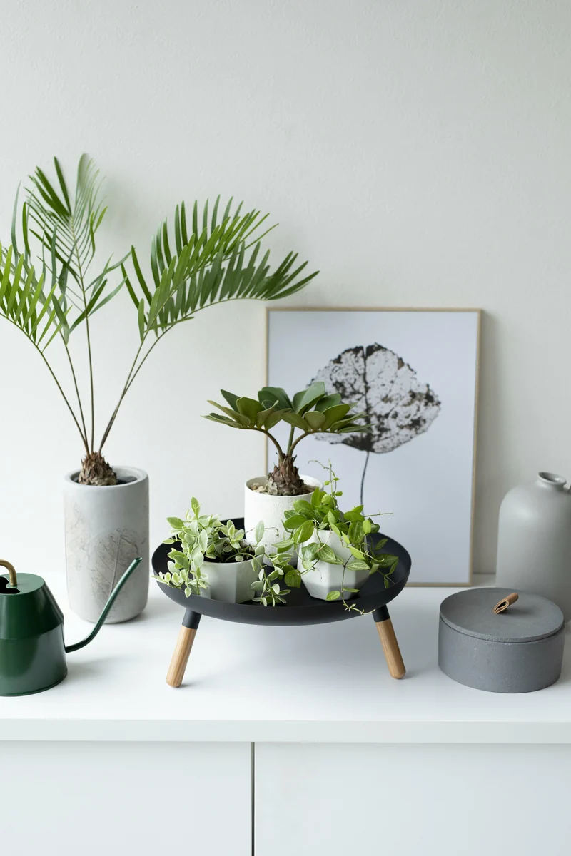 Plateau en acier noir avec pieds en bois - Yamazaki
