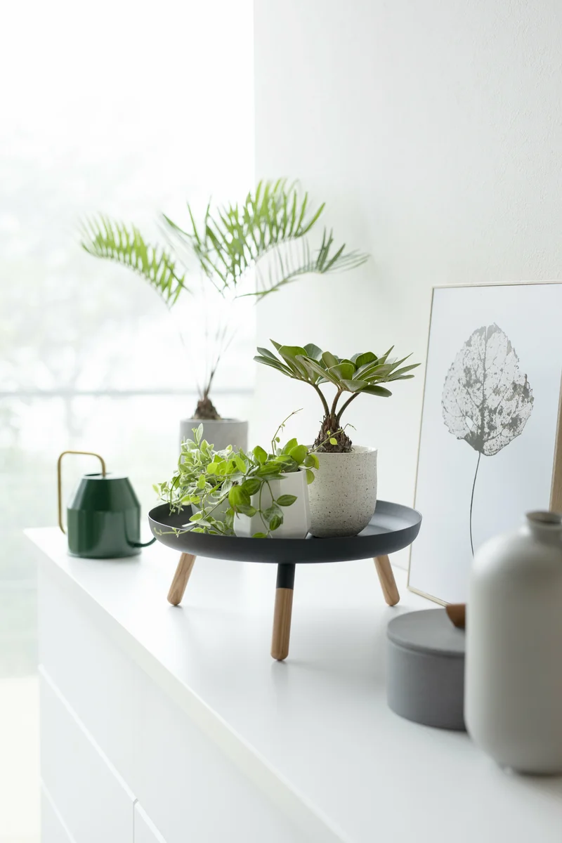 Plateau en acier noir avec pieds en bois - Yamazaki