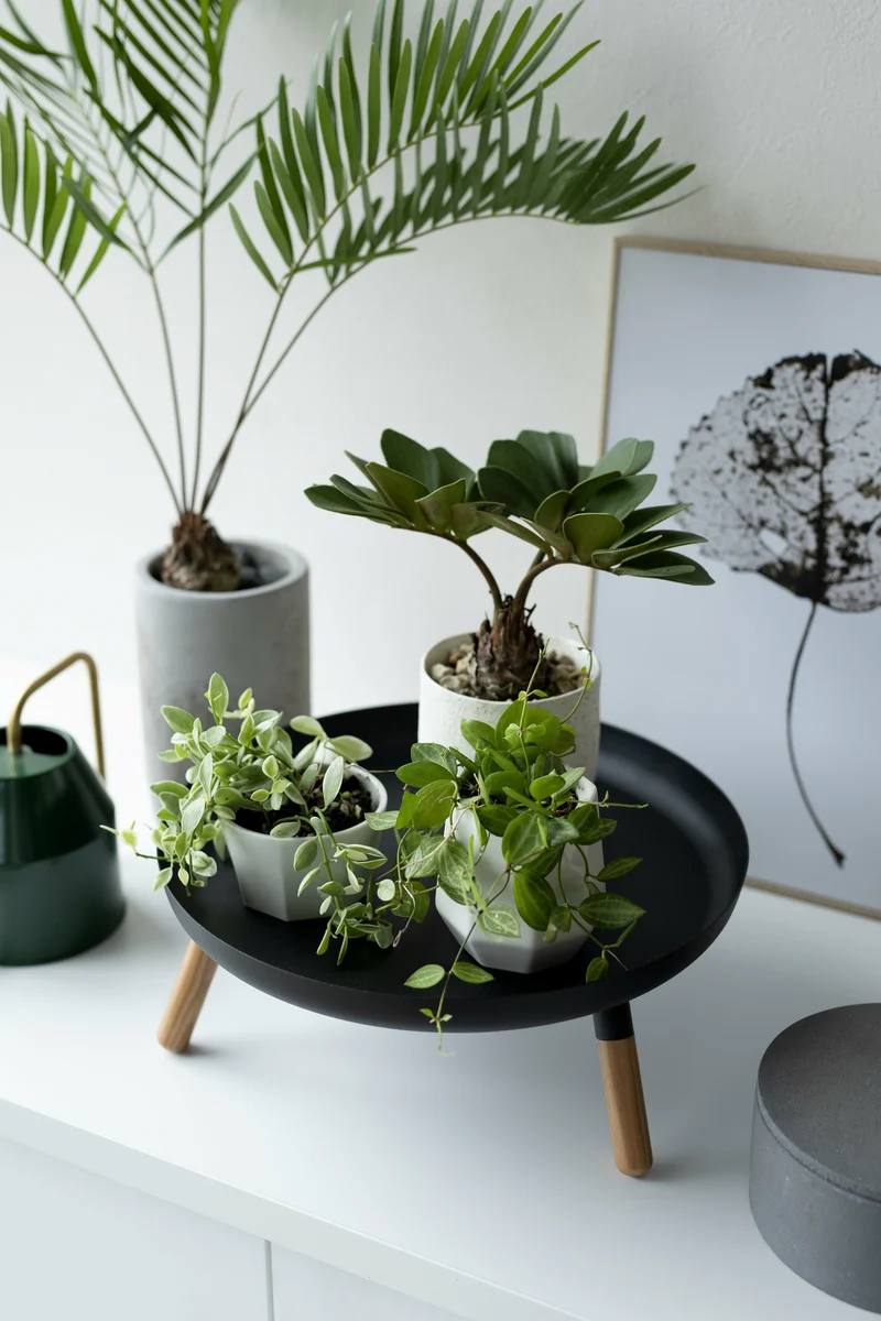 Plateau en acier noir avec pieds en bois - Yamazaki