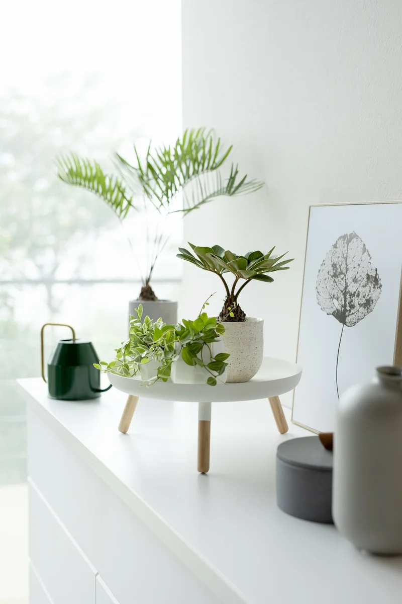 Plateau en acier avec pieds blanc Plain - Yamazaki