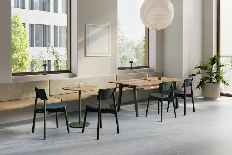 Chaise en chêne vert sapin éco-certifié SSD - TIPTOE